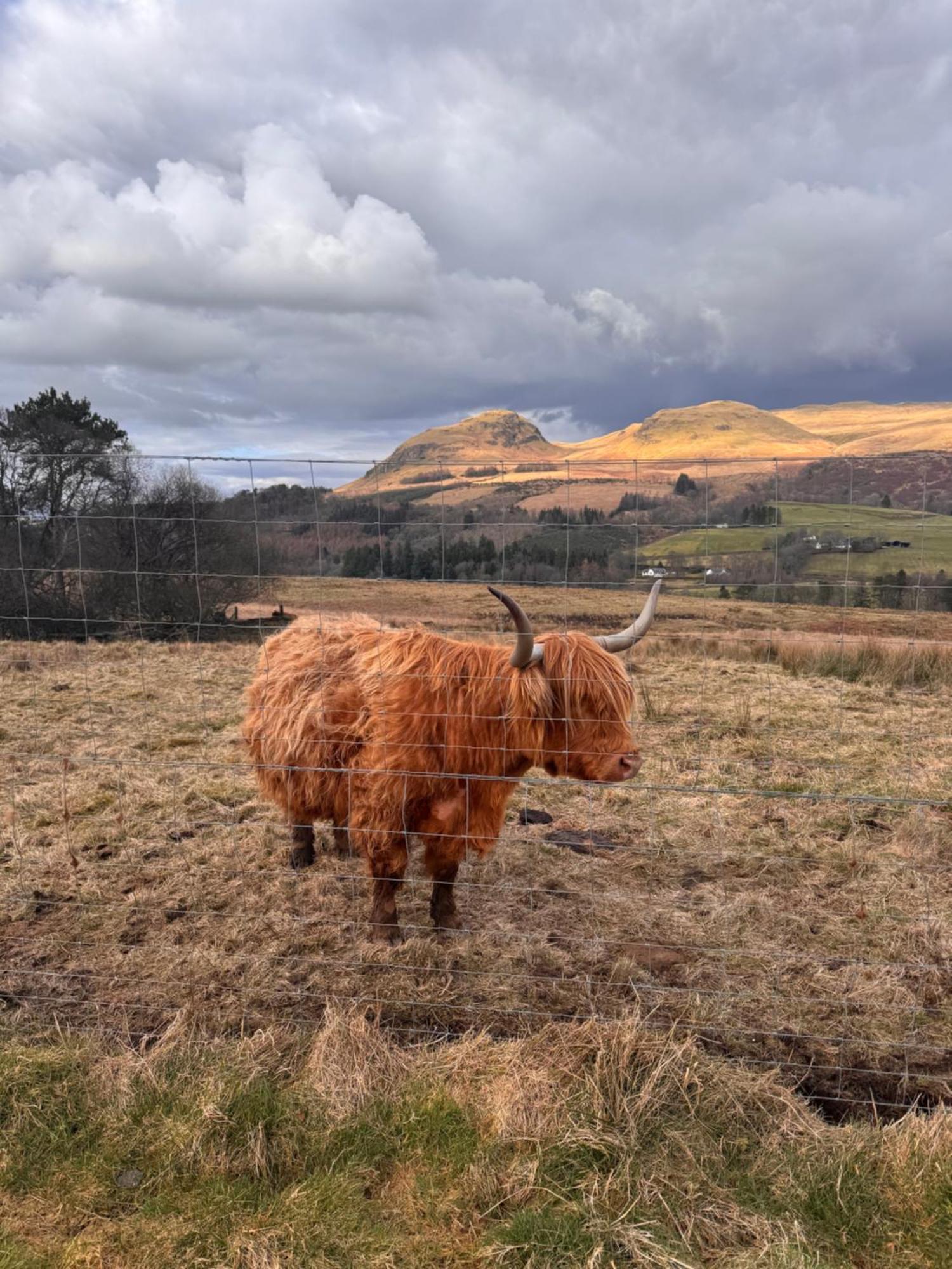 The West Highland Way Campsite & Campervan Accommodation Milngavie Exterior foto